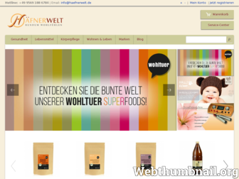 haefnerwelt.de website preview