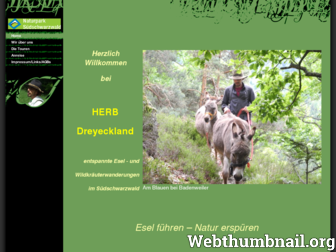 schwarzwald-trekking.de website preview